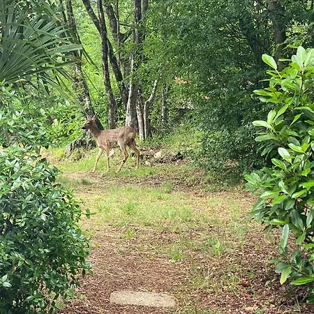 Appartamento Dvojak Njivice